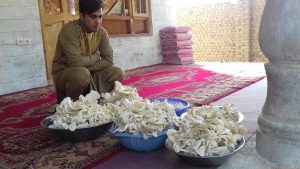 Read more about the article Report of the Mushroom cultivation project for immigrant and poor women in Balkh province 01-Sep-2018,30-Dec-2018