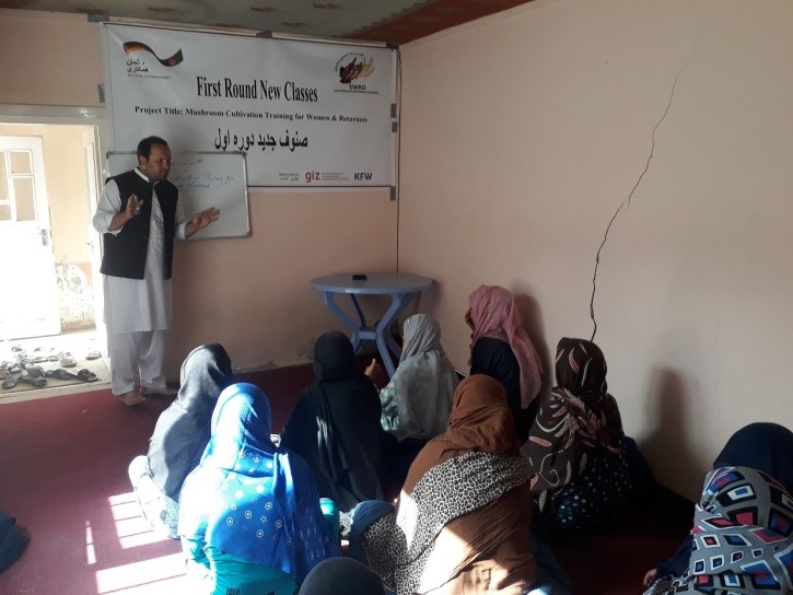 Read more about the article Report of the Mushroom cultivation project for immigrant and poor women<br>in Herat province<br>01-Sep-2018 Up to 30-Dec-2018