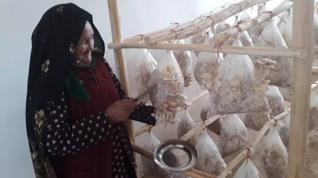 Read more about the article Report of the Mushroom cultivation project for immigrant and poor women in Bamayan province